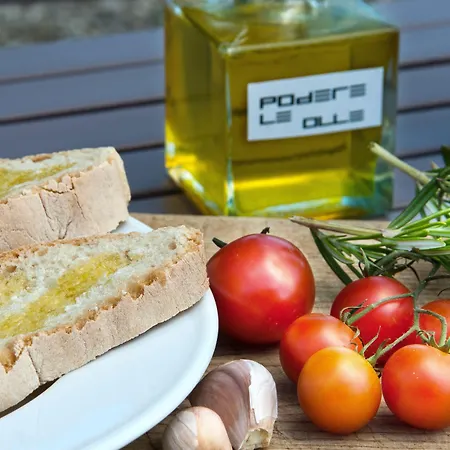 Séjour à la ferme Podere Le Olle *