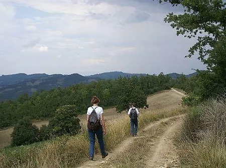 Séjour à la ferme Podere Le Olle